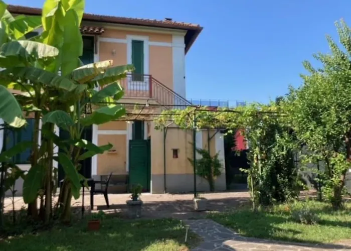 Green House Di Alberto