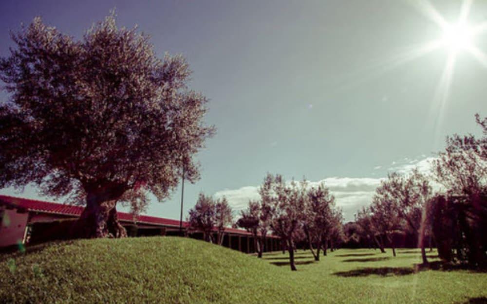 All Ways Garden & Leisure Hotel Rome