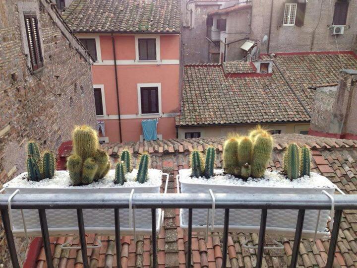 Campo Dei Fiori Funny Flat Appartement *