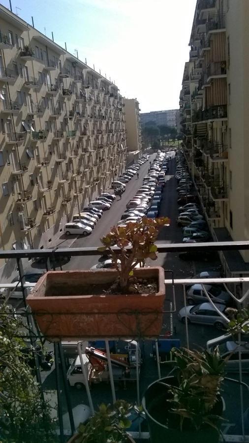 Cosmopolitan Rome