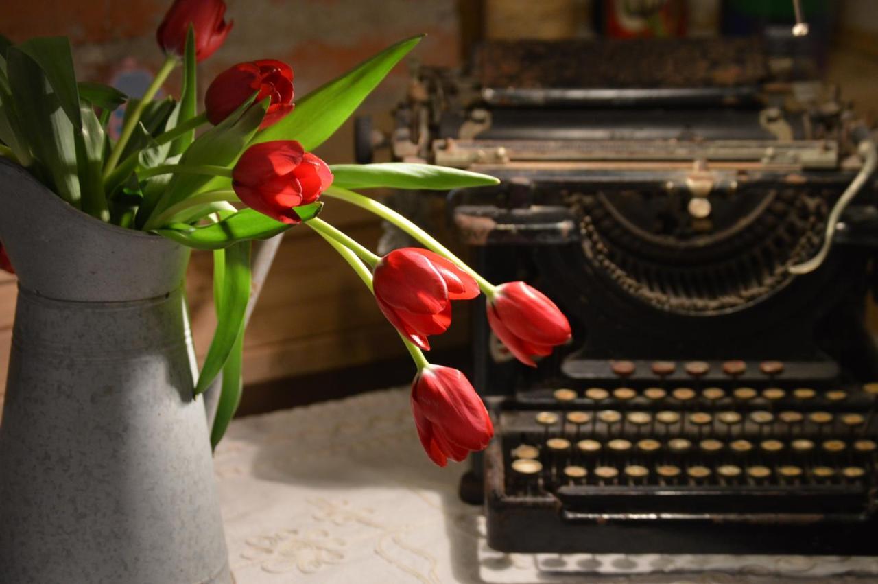 Appartement Lovely Writer *