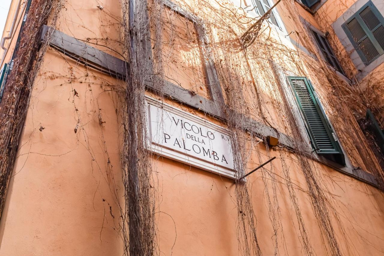 Navona Square - Romedreamhome Appartement Rome