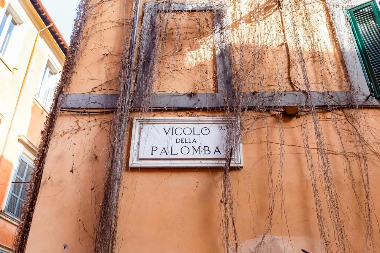 Navona Square - Romedreamhome Appartement Rome