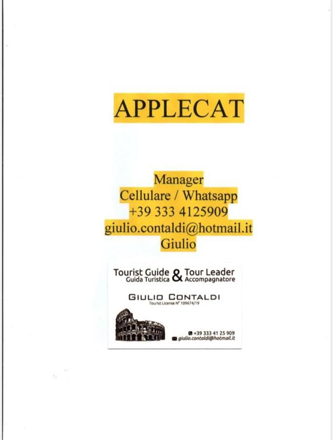 Applecat Guest house Rome