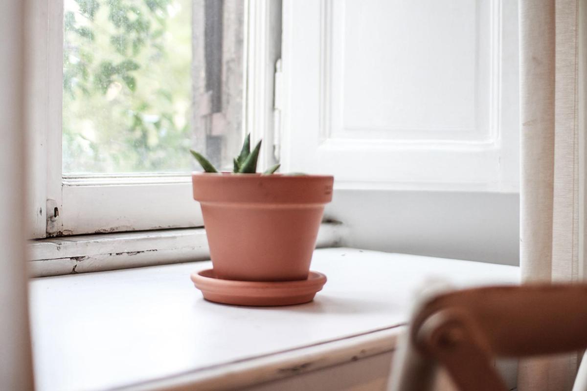 Séjour chez l'habitant Coliving Trastevere *
