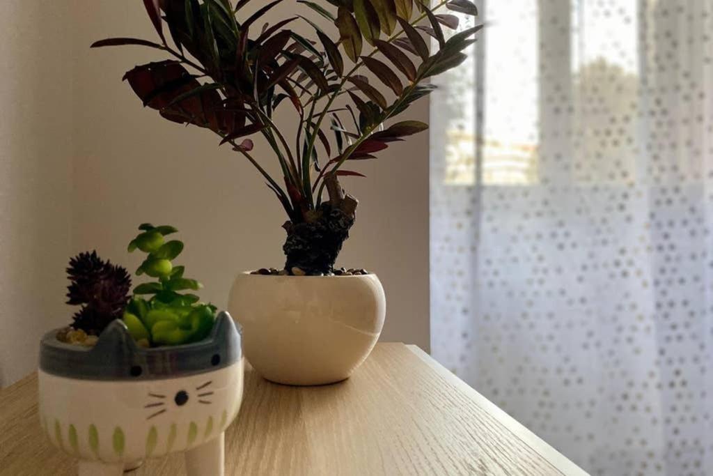 Modern -locazione Turistica- Appartement *