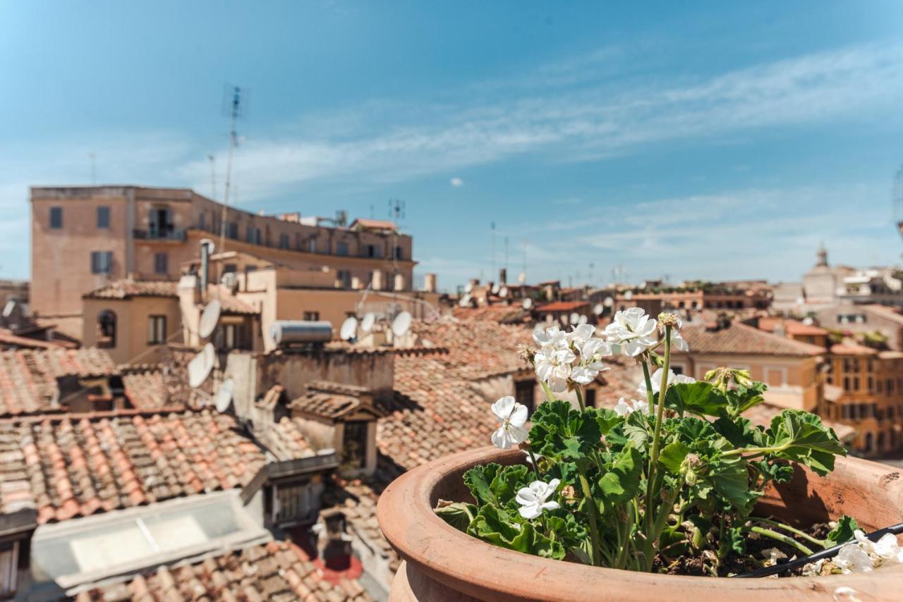 Guest house Nikis Collection Navona *