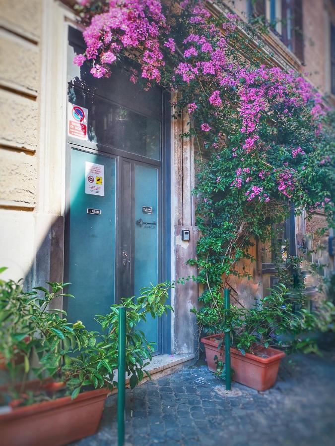 Trastevere Glasshouse 3* Rome