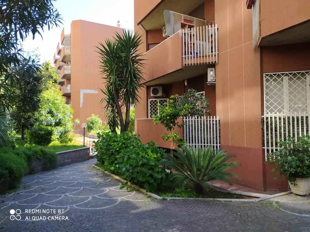 Marco's House Appartement *