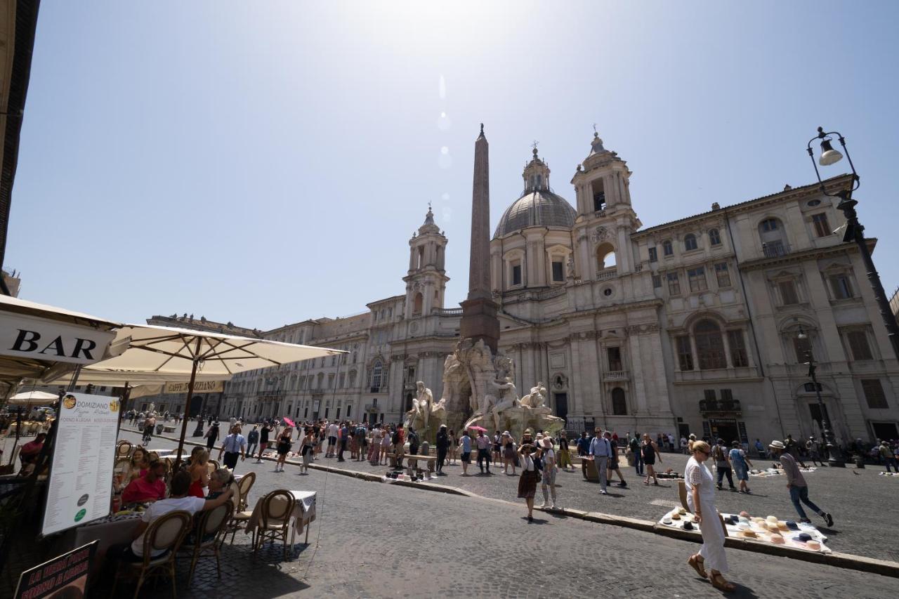 Navona Nest