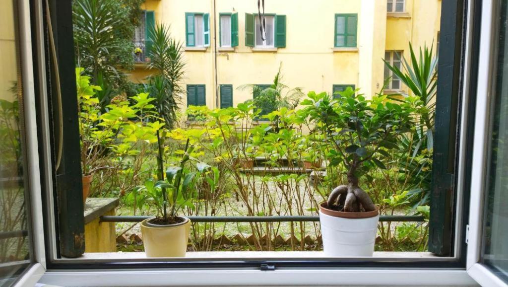 In-love Apt Apartment *