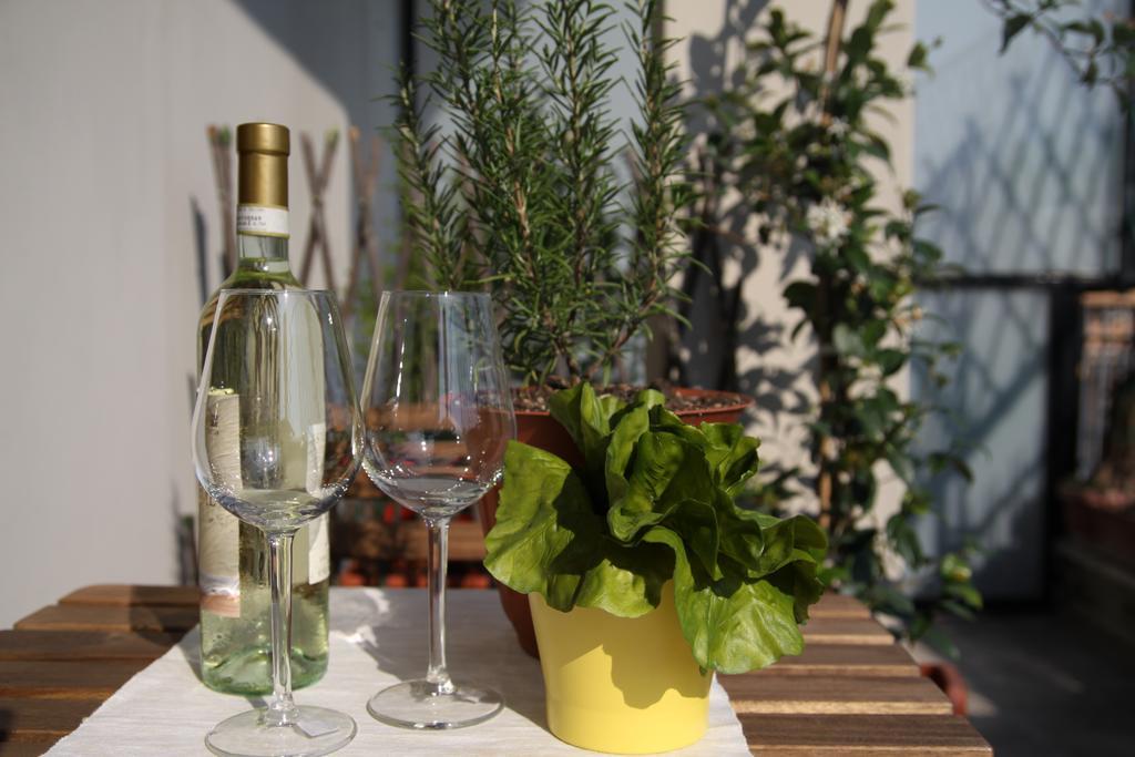 Bed & Breakfast Terrazza Sotto Le Stelle Roma
