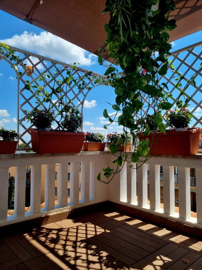 Apartamento Carpegna 92 Wellness E