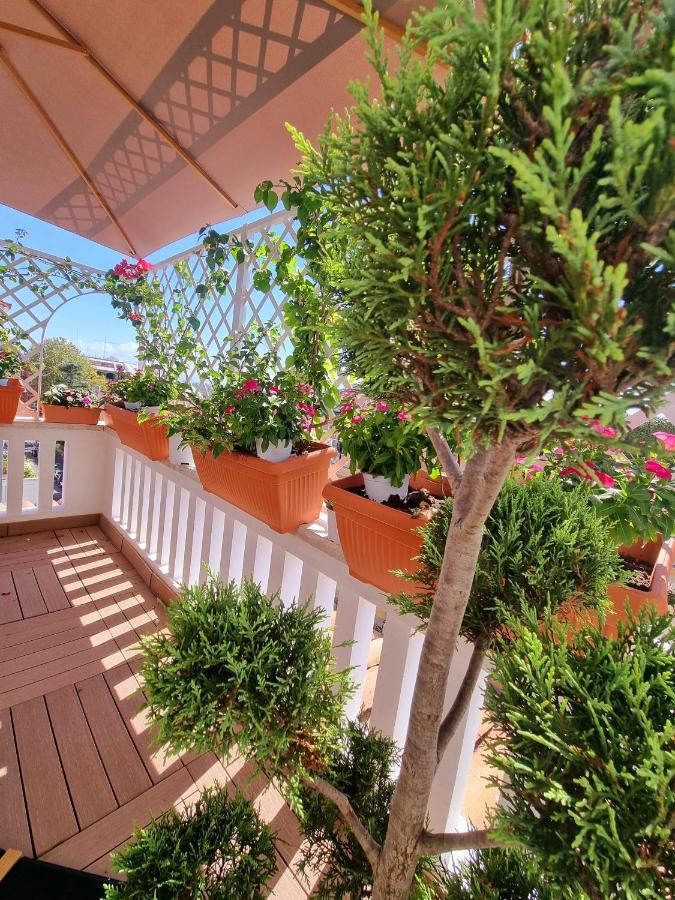 Apartamento Carpegna 92 Wellness E Roma