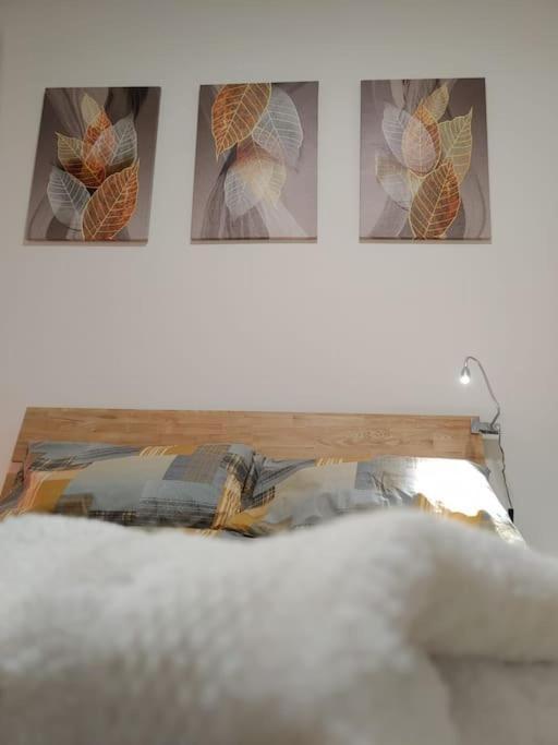 Apartamento A Ristrutturato *