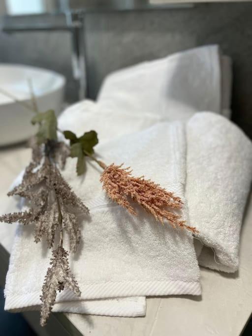 Apartamento A Ristrutturato Roma