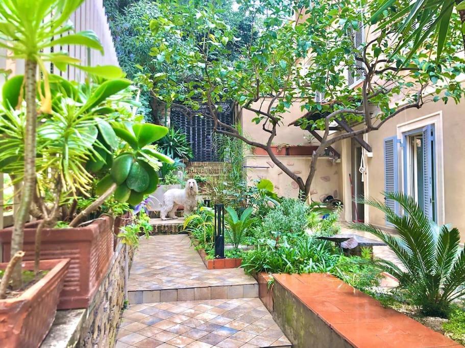 Isola Roger - Con Giardino A Vakantiehuis *