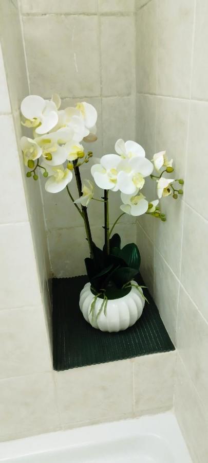 Epiro Appartement