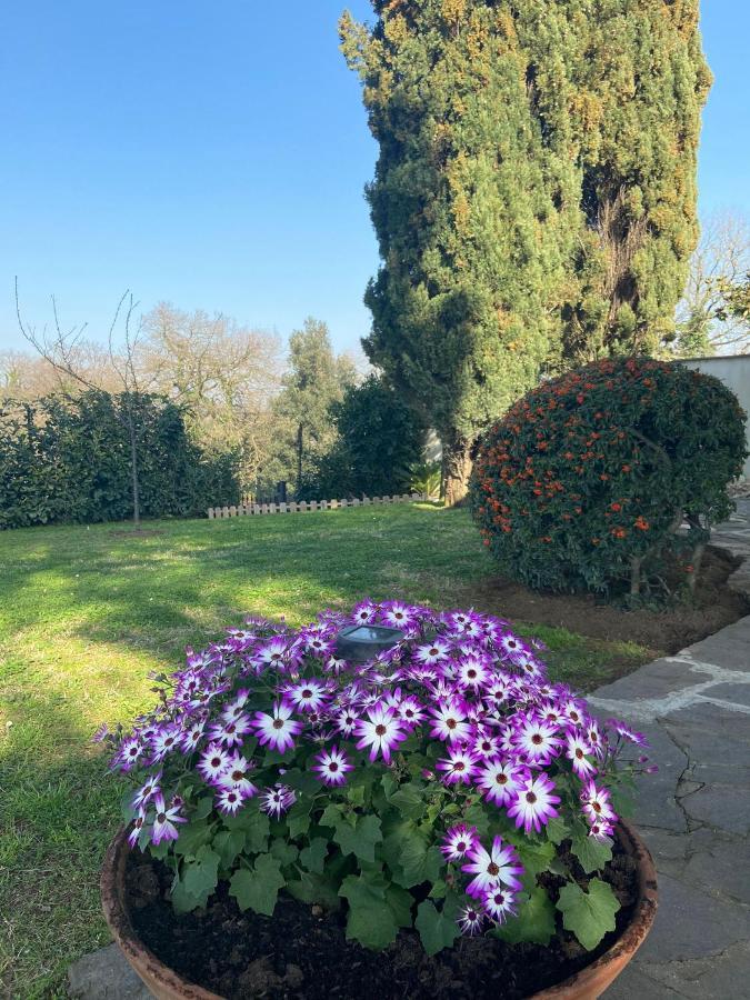 Pousada Del Rubbio Roma