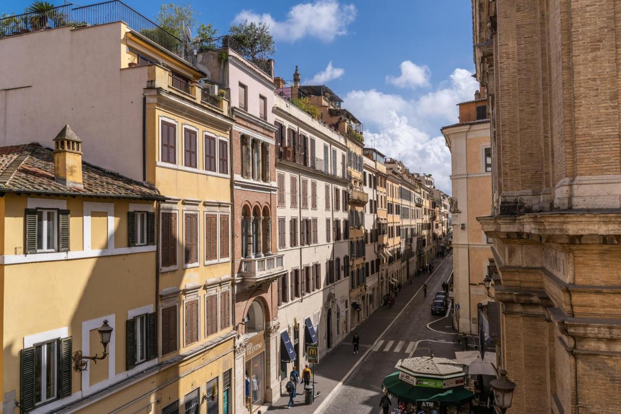 Baboon Rome