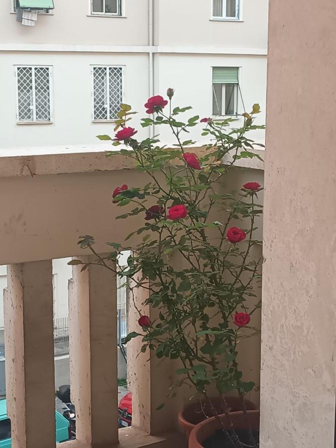 Centro Intero Per Vacanze Appartamento Roma