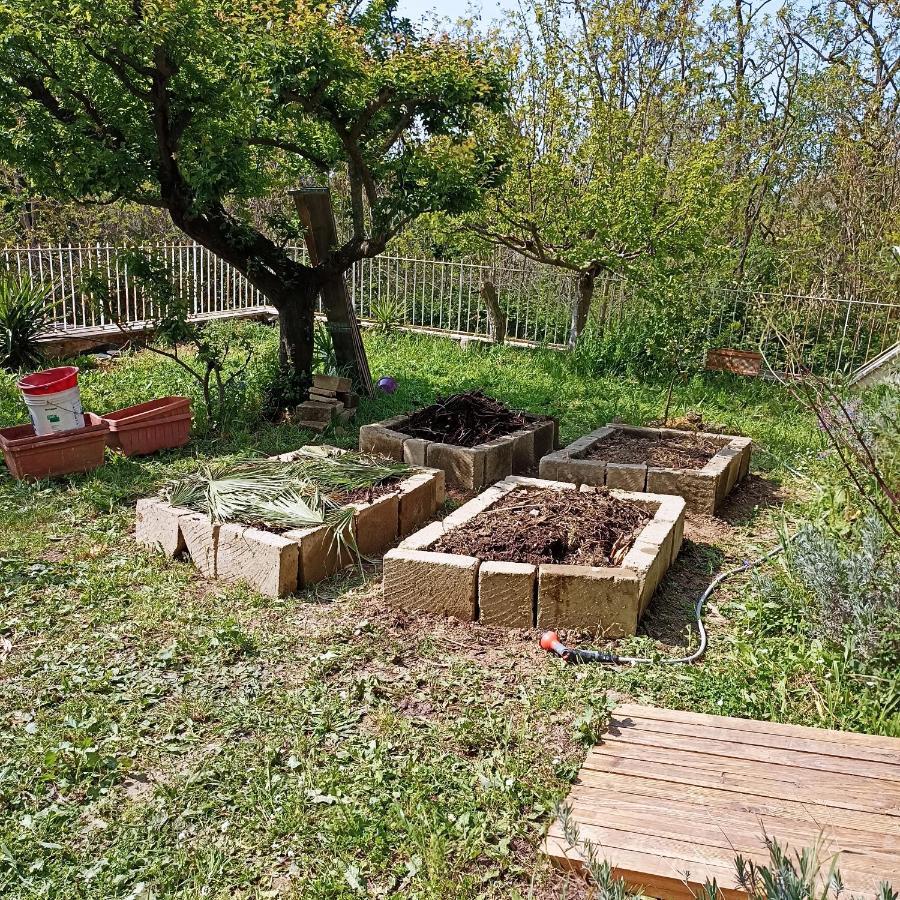 Ripe'S Forest Garden Guest House Rome
