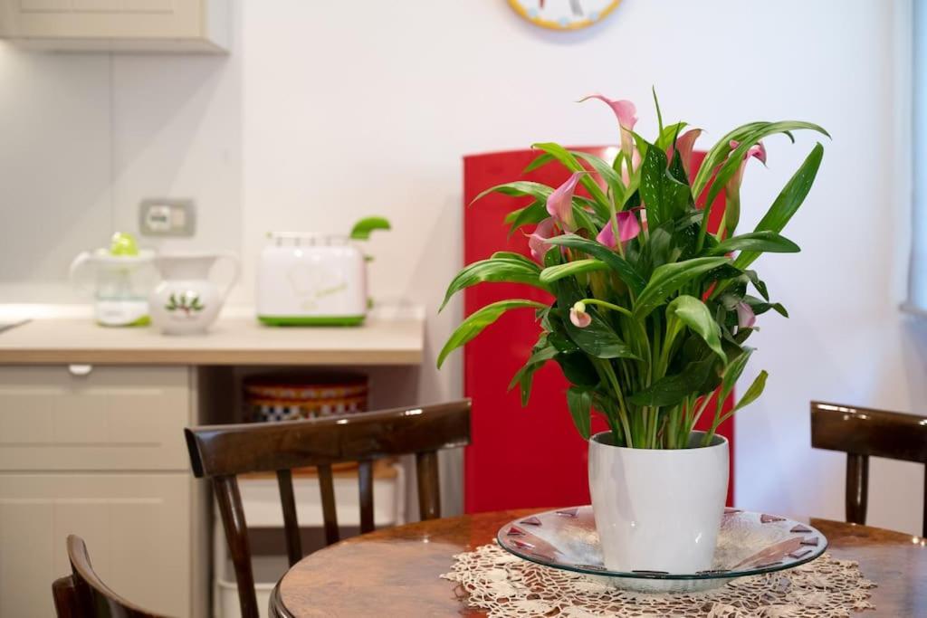 Casa Bouganville - St. Peter Romantic Appartement *