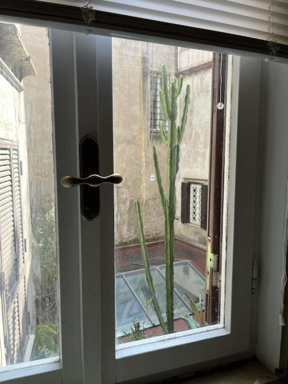 Annemarymaison