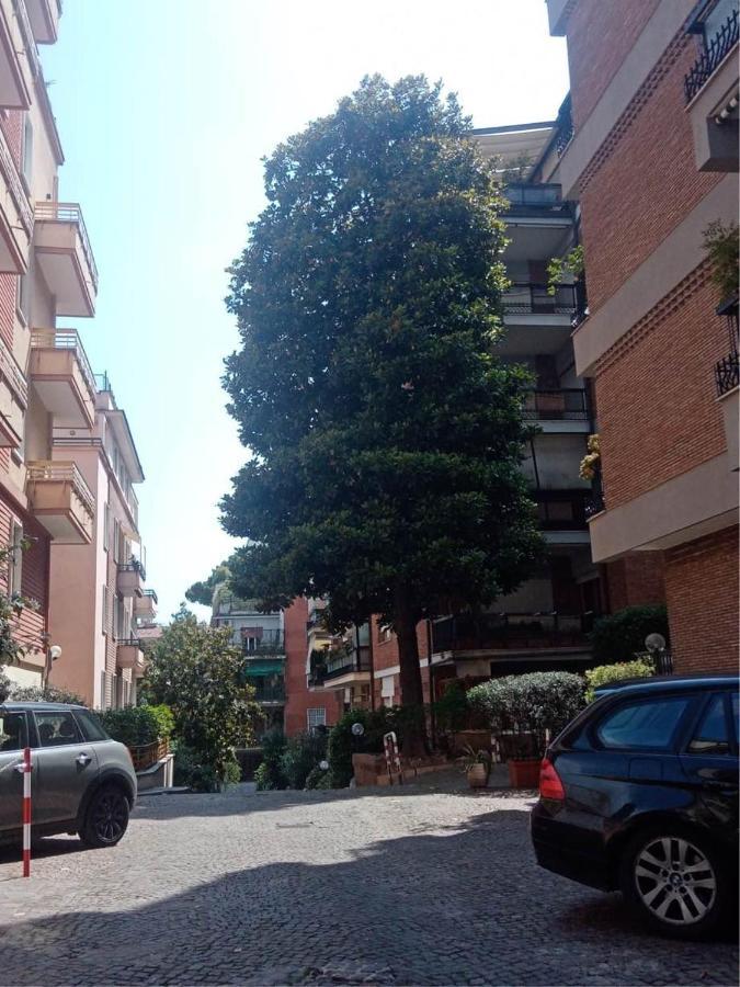 A Casa Di Driade