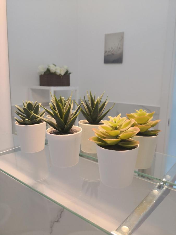 Appartement Aurelia City Garden