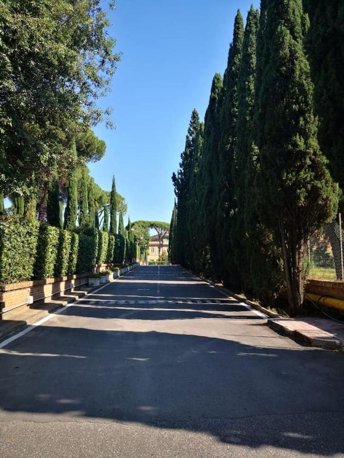 Aurelia City Garden Appartement *