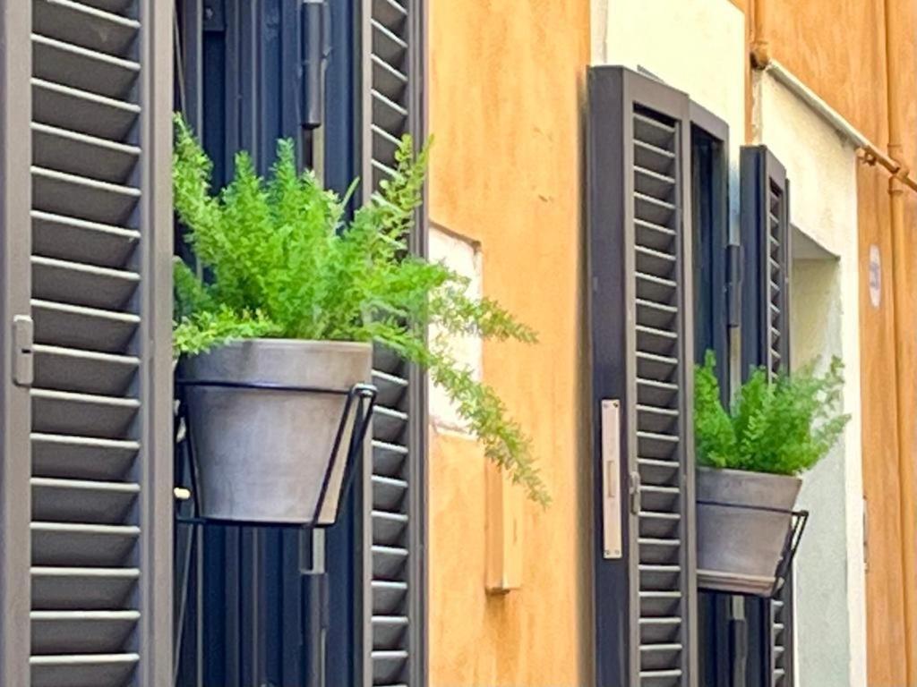 Antica Dimora La Campanella Appartement *