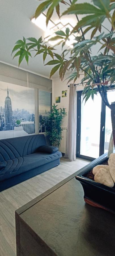 Greenhouse Apartment