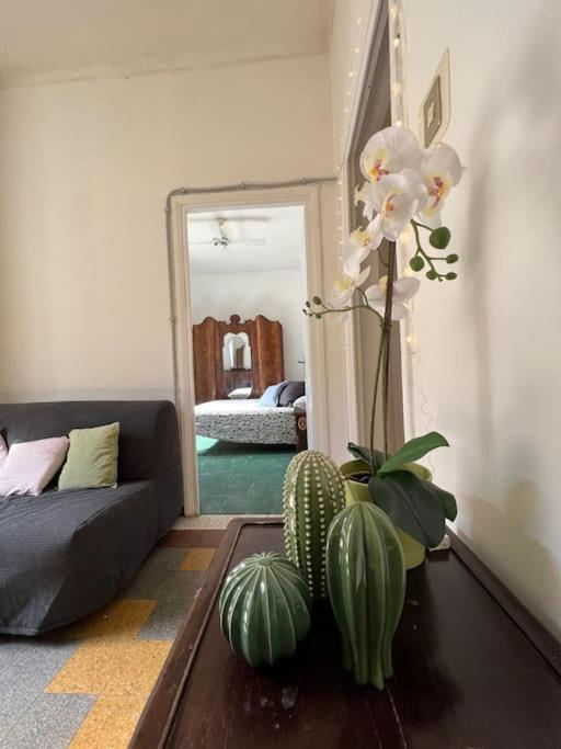 Apartment Ner Core De *