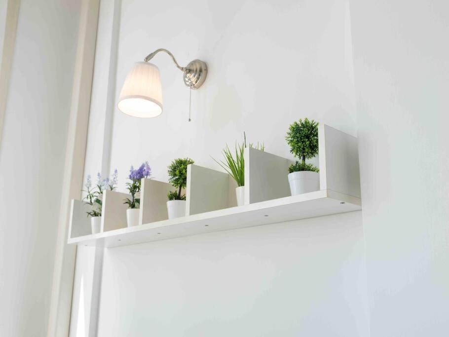 Window On *