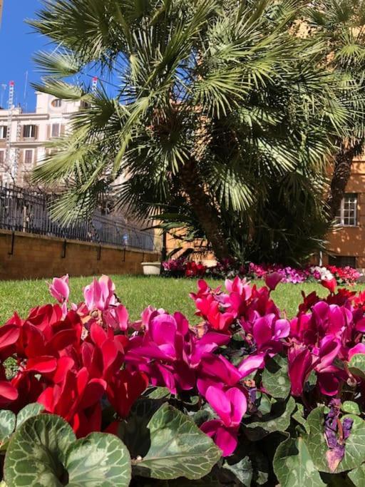 San Pietro Appartamento