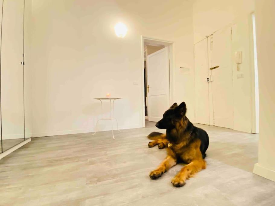 Appartement Mamisa Rome, Con Parcheggio Privato E Gratuito Rome