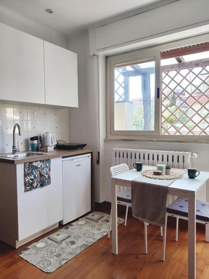 Apartment Bright Penthouse 2 M Stops From Vatican Museums