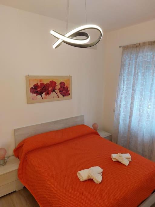 Apartment Centro - Lilly's House *