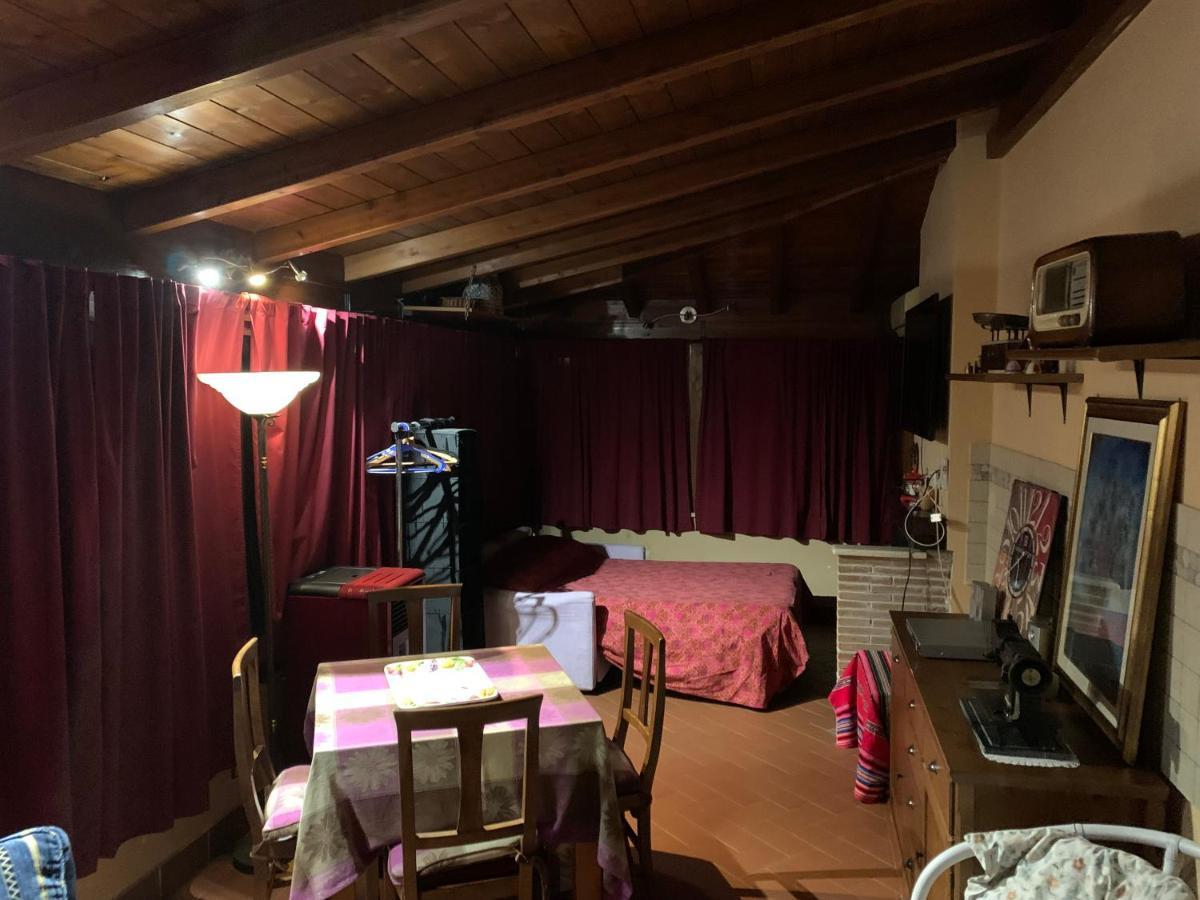 Accommodatie bij particulieren Elena House *