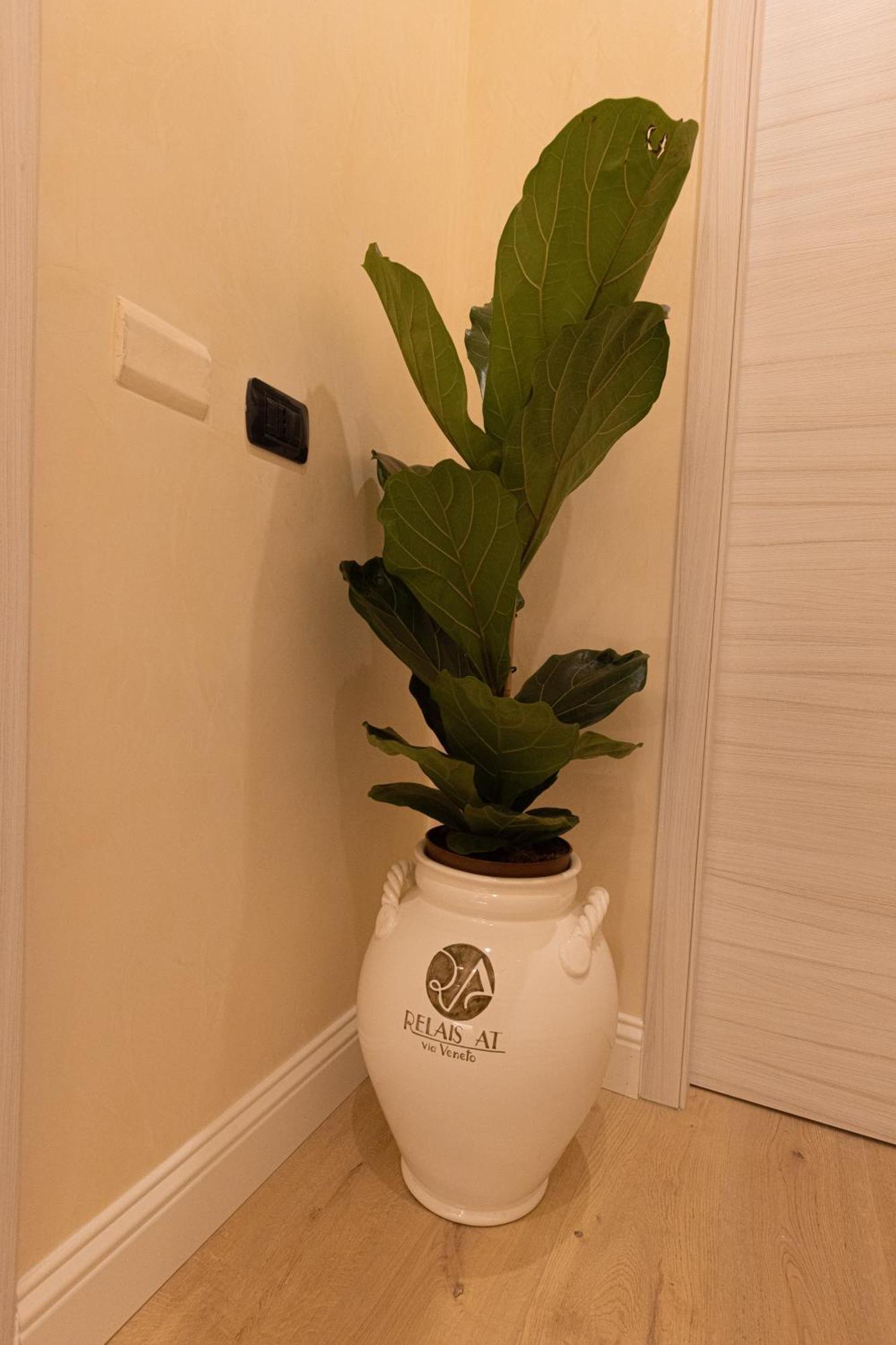Guest house Relais At Via Veneto