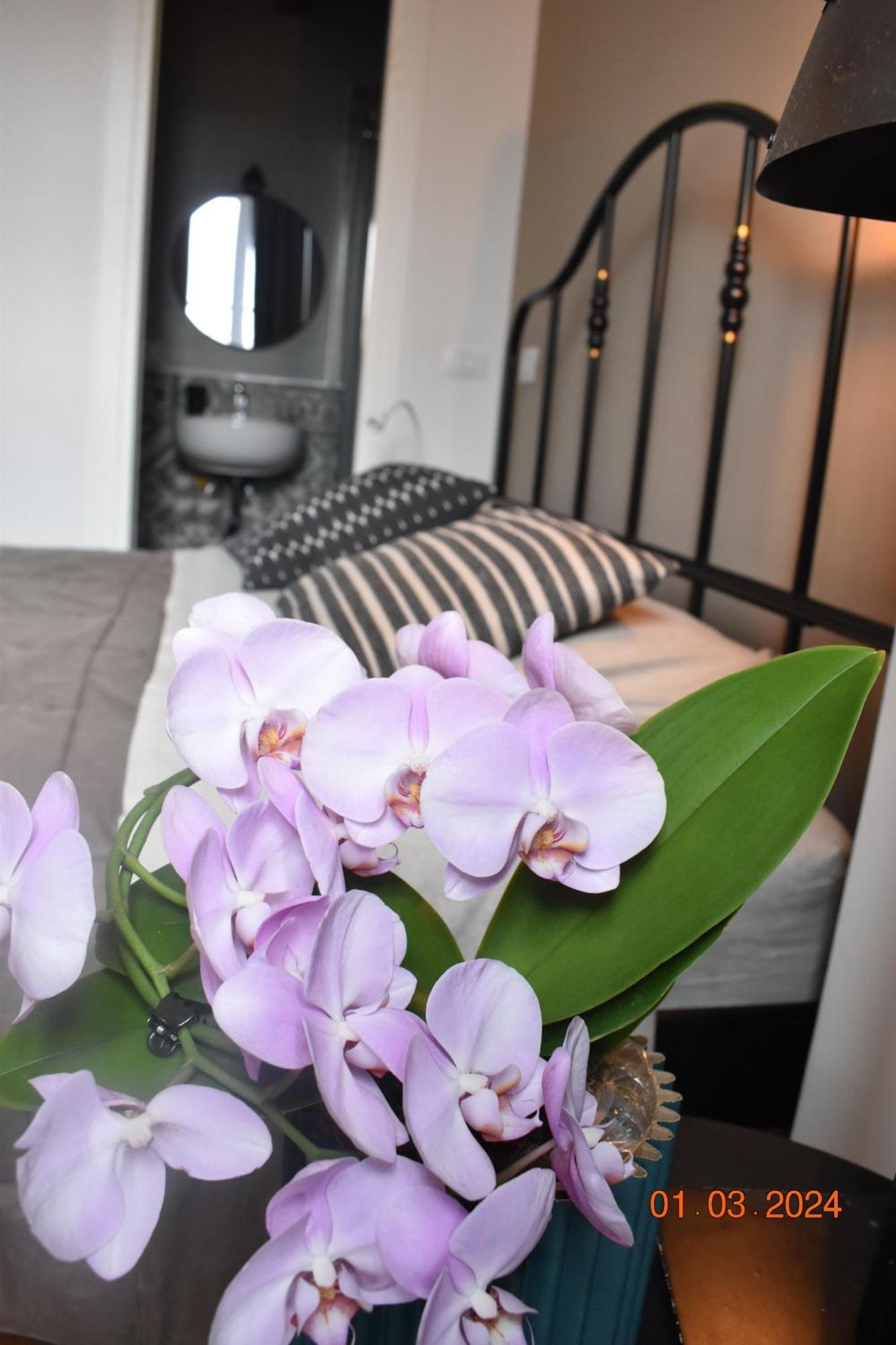 Trastevere St Ariabianca House Apartment *