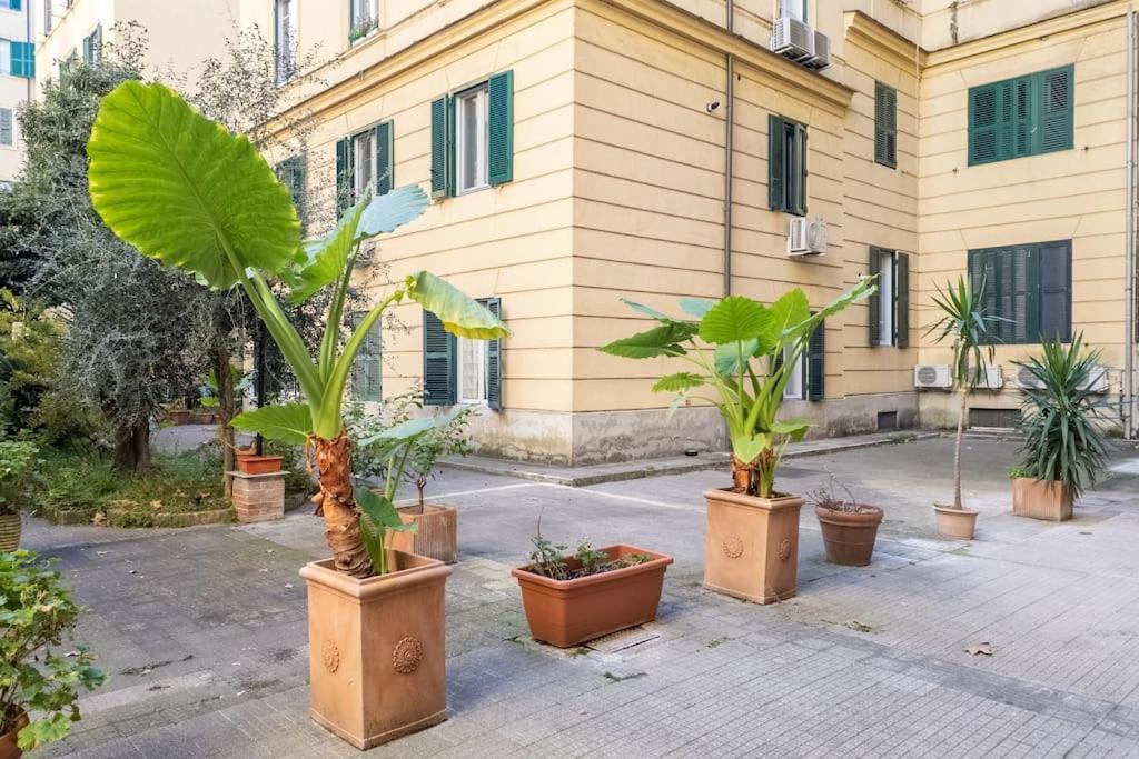 New! Giulio Cesare Rome