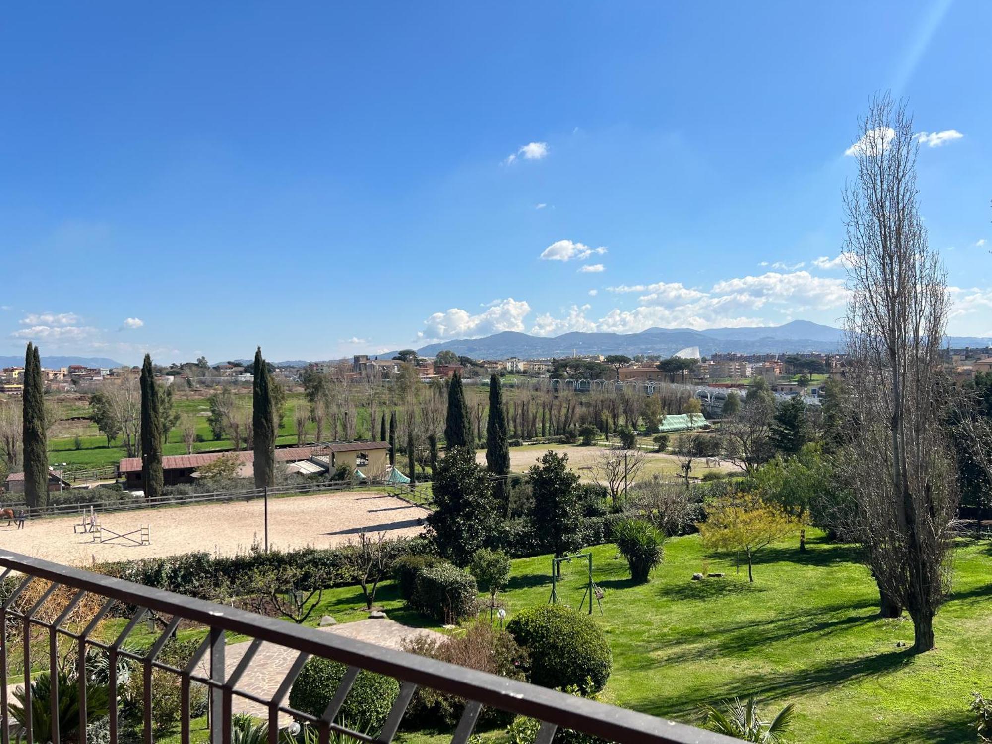 Torrenova 22