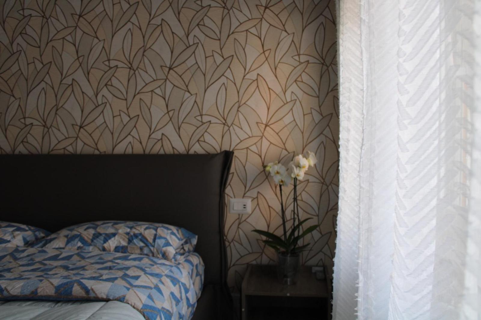 Bonelli Dreams In *