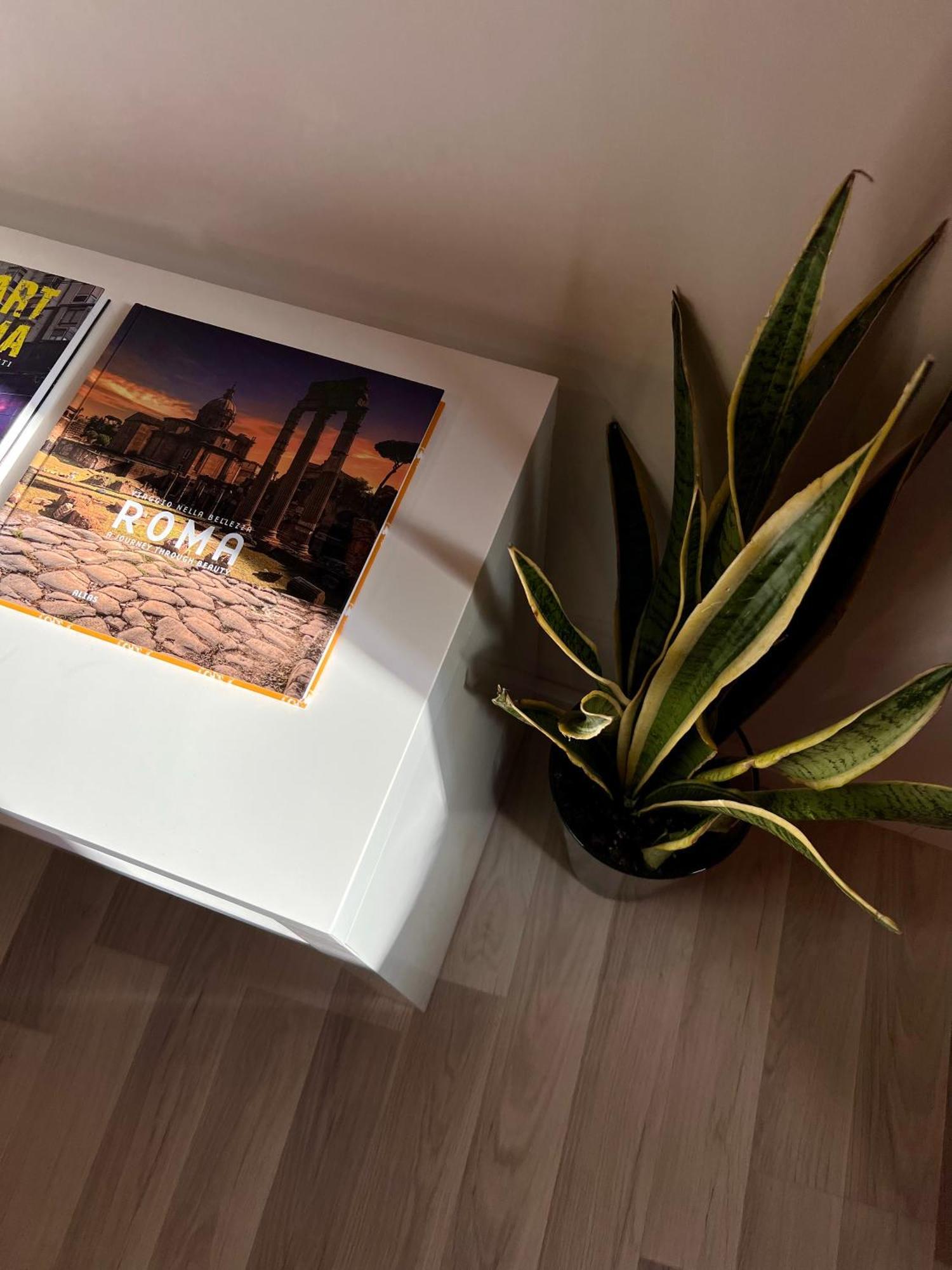 Guest house Charming Navona *
