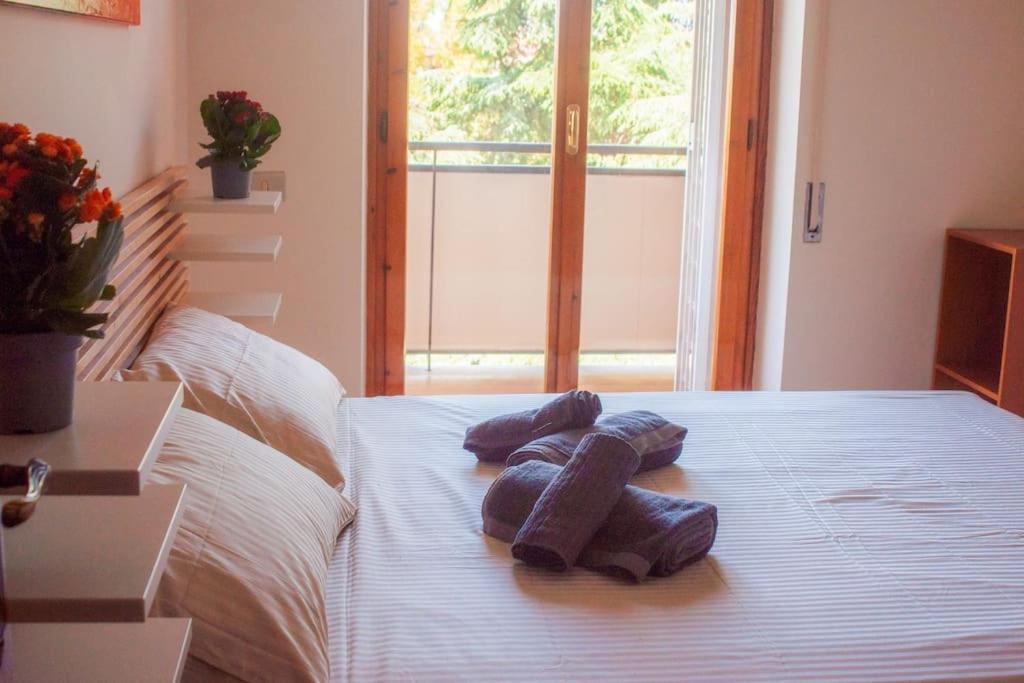 The Cozy Flat In Eur Roma