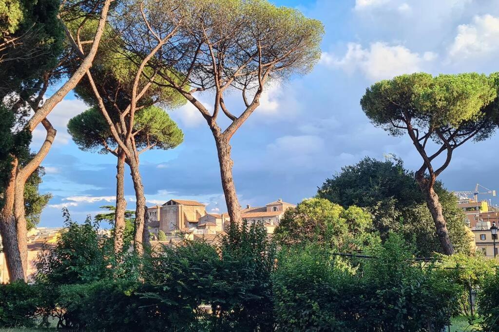Apartment Vintage Colosseo Rome