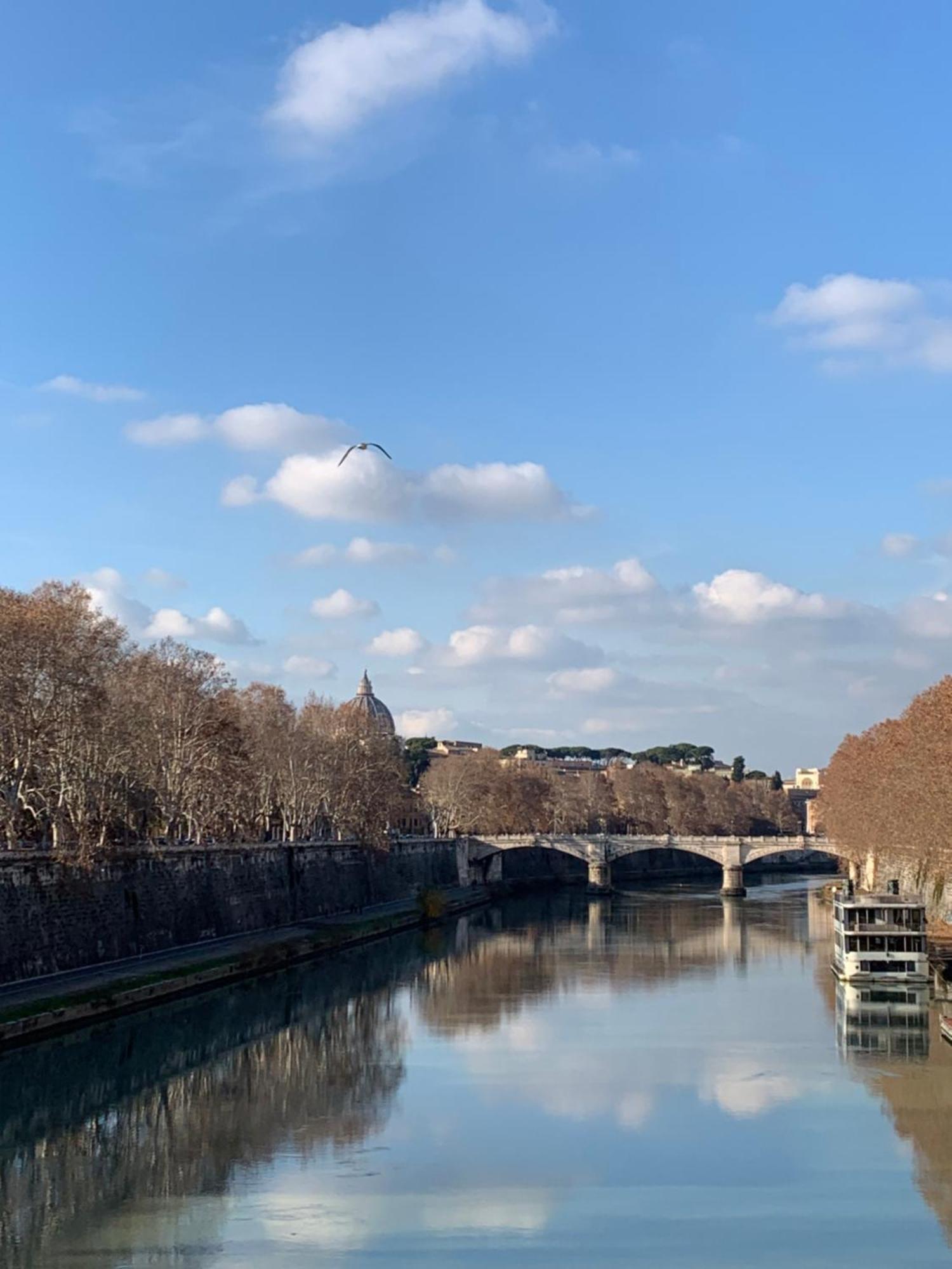 Casa Vicolo Moroni - Trastevere
