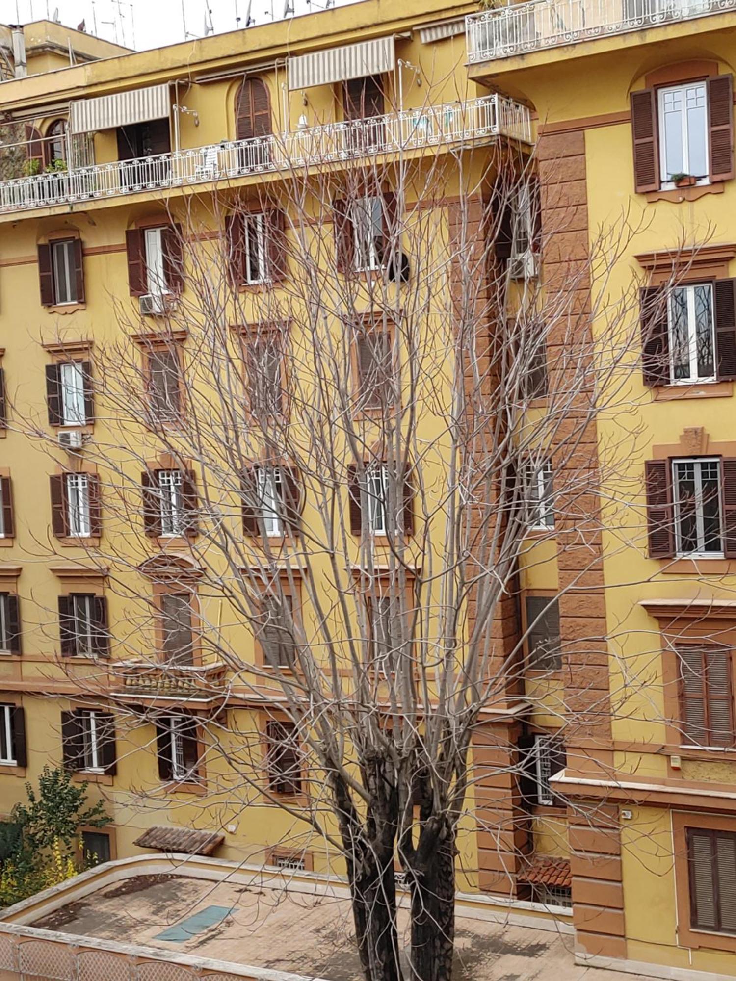 Flat Trastevere *